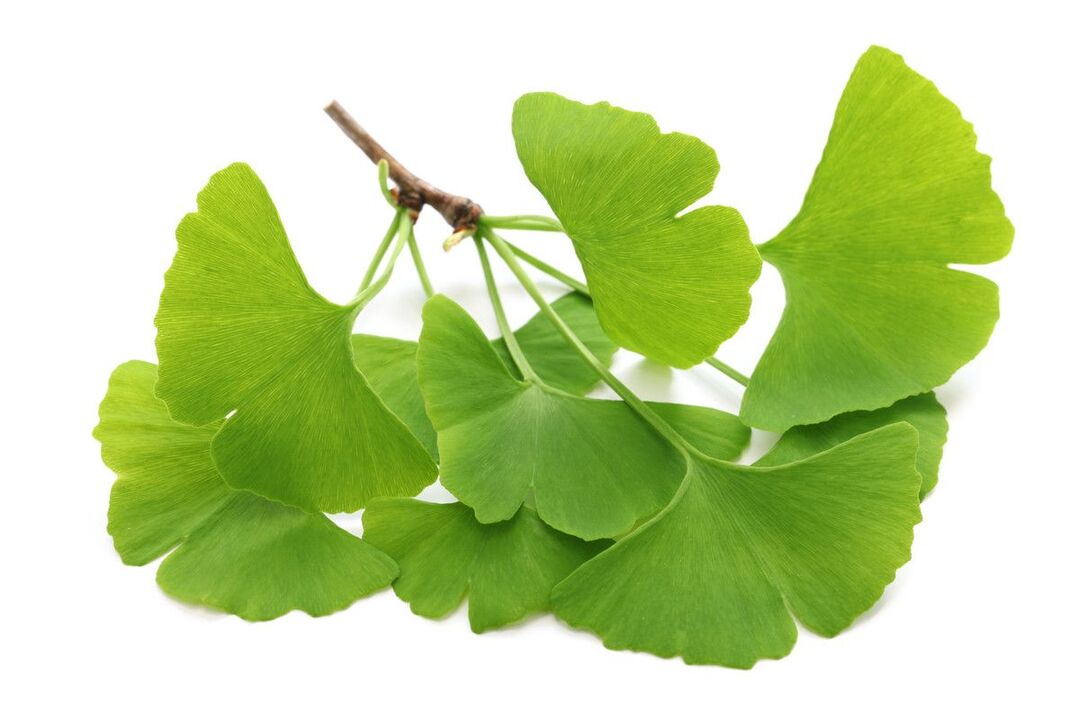 gouttes de ginko biloba Alcozar